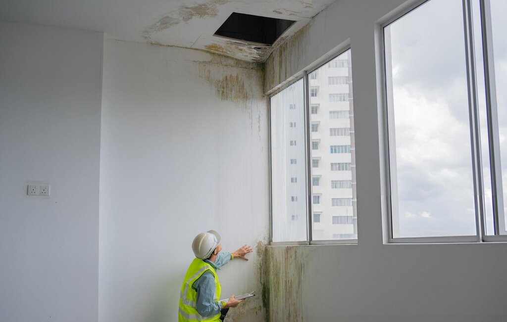 commercial roof leak
