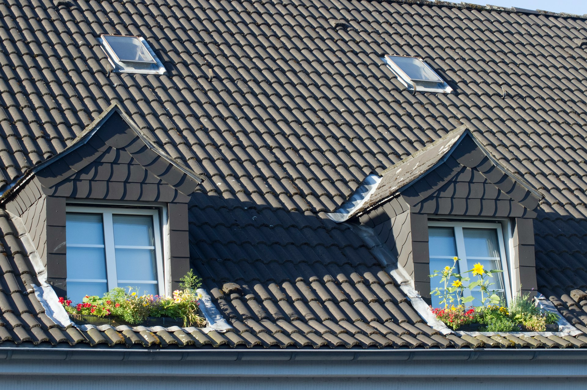 Roof Replacement